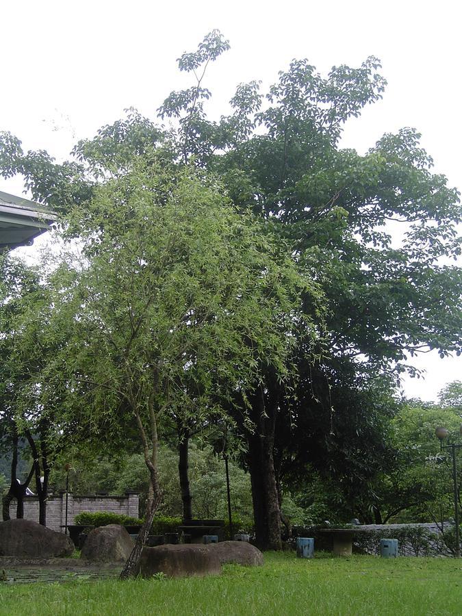 Fumei Bluebird Homestay Nanzhuang Zewnętrze zdjęcie