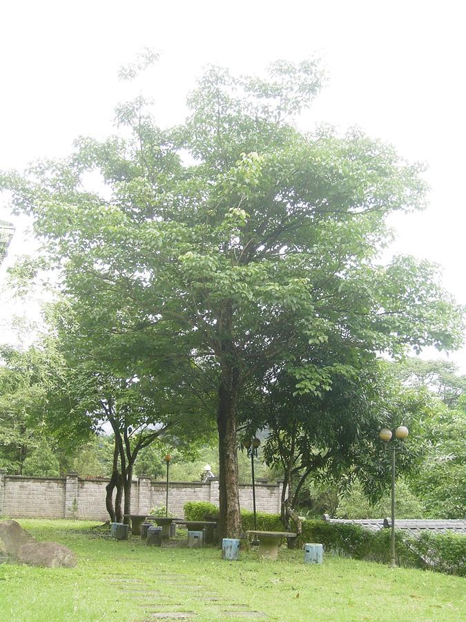 Fumei Bluebird Homestay Nanzhuang Zewnętrze zdjęcie